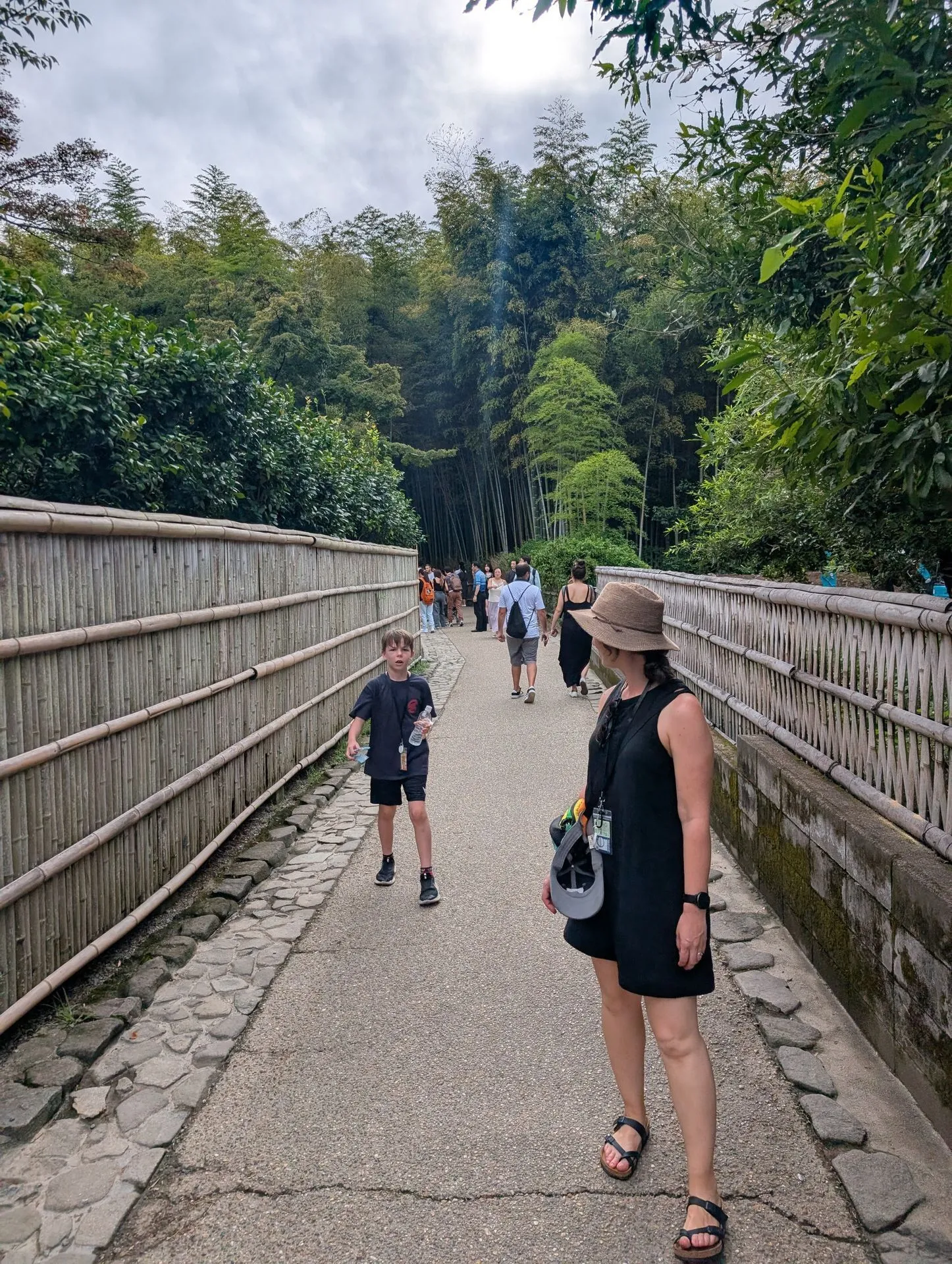 Path through the Arashiyama bamboo grove in Kyoto early morning