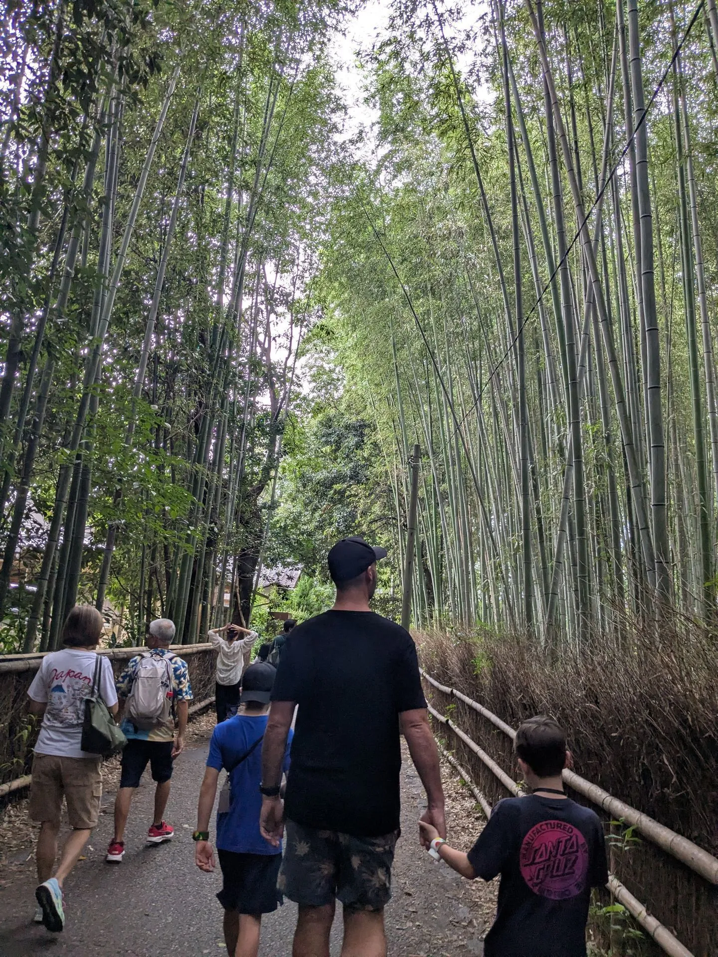 Walking through the Arashiyama bamboo grove with tall green stalks on both sides