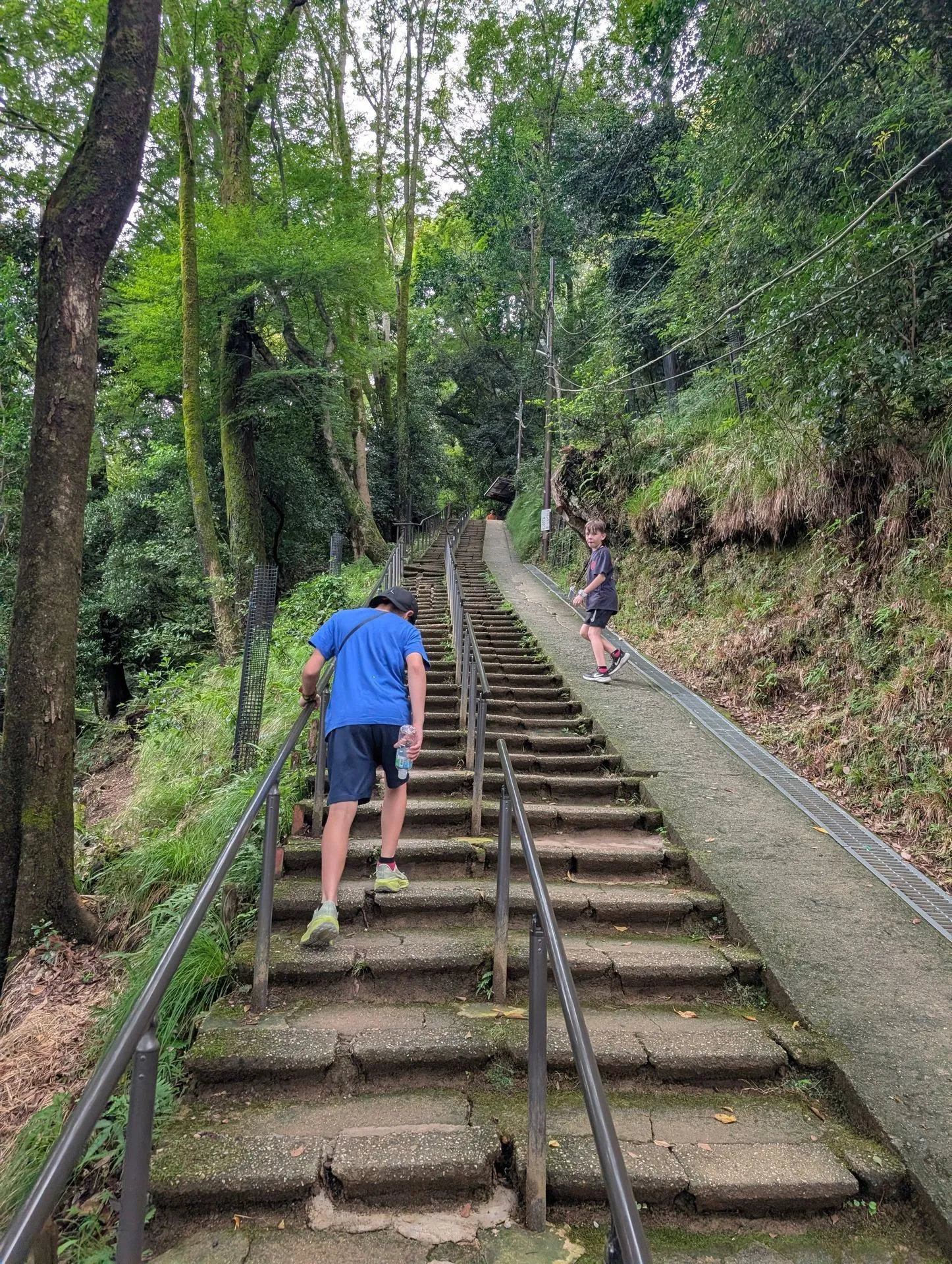 Kids climbing the steep forest stairs at Arashiyama Monkey Park