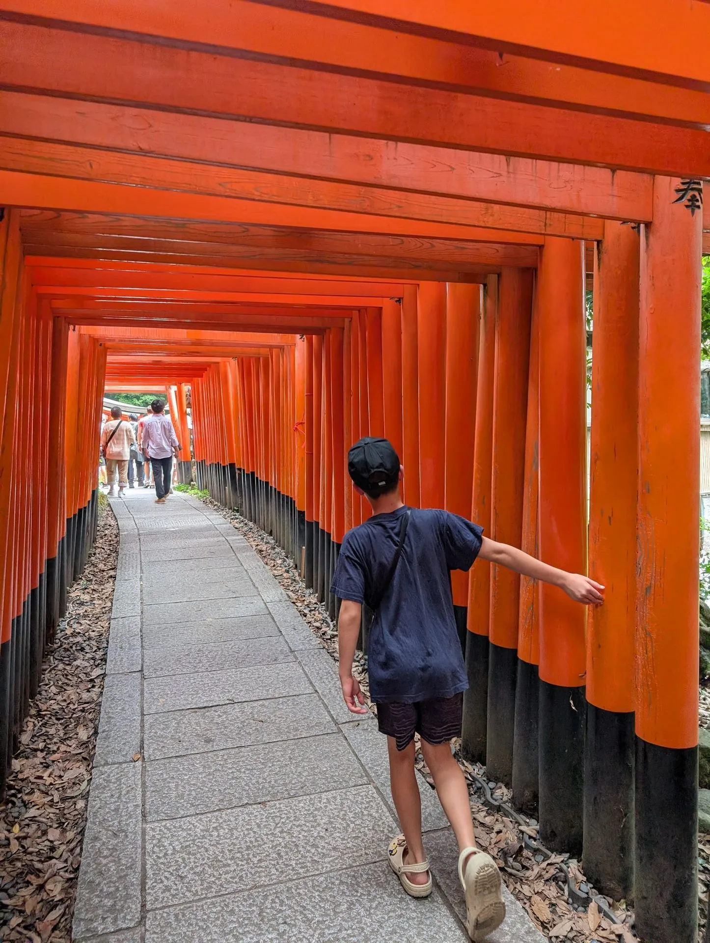 The iconic torii gate tunnels at Fushimi Inari winding up the mountain