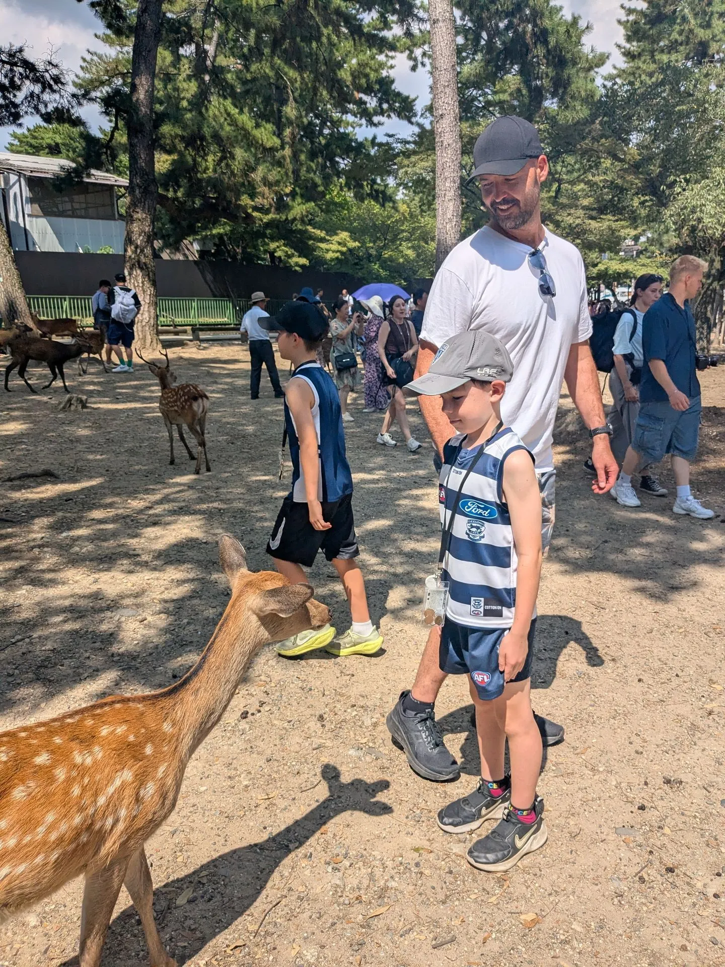 Dad and young child approached by a deer in Nara Park