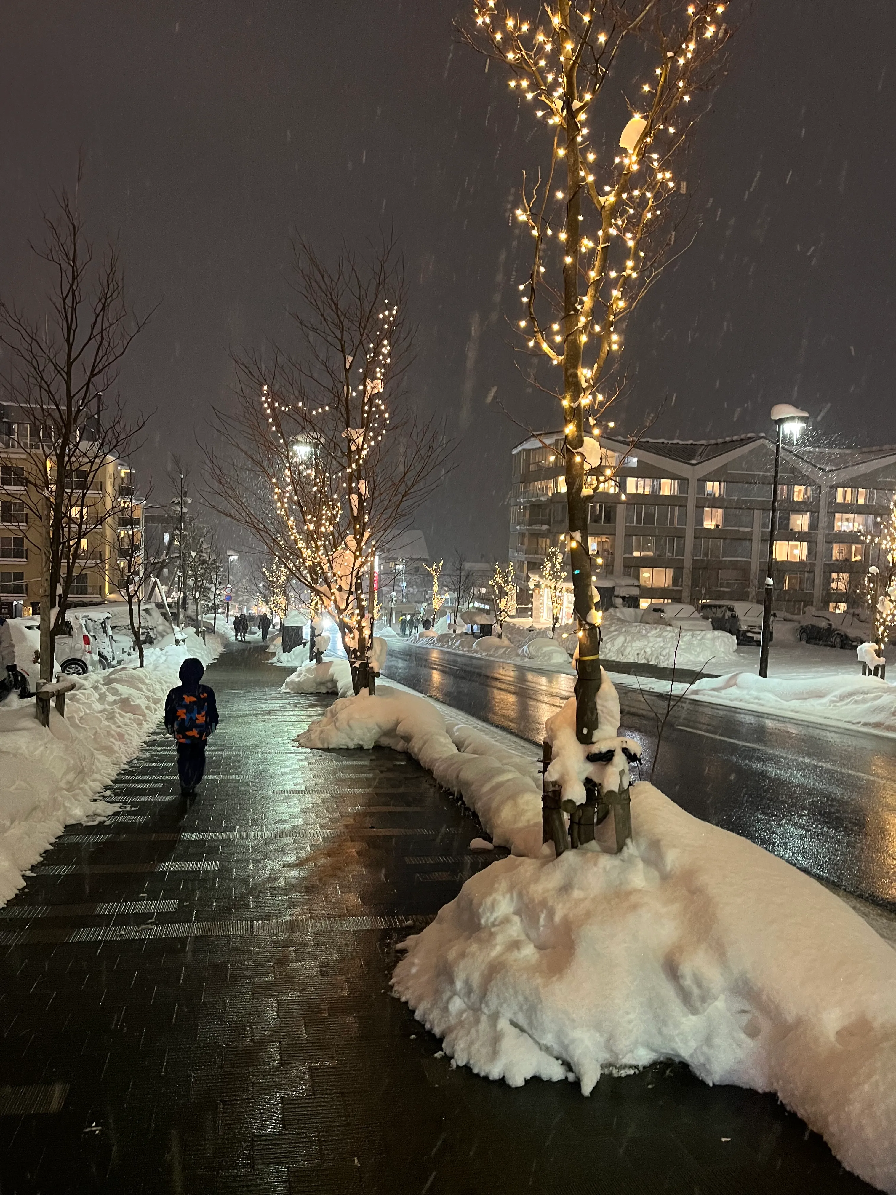 The main street of Niseko Hirafu at night, lined with fairy-lit trees and deep snowbanks