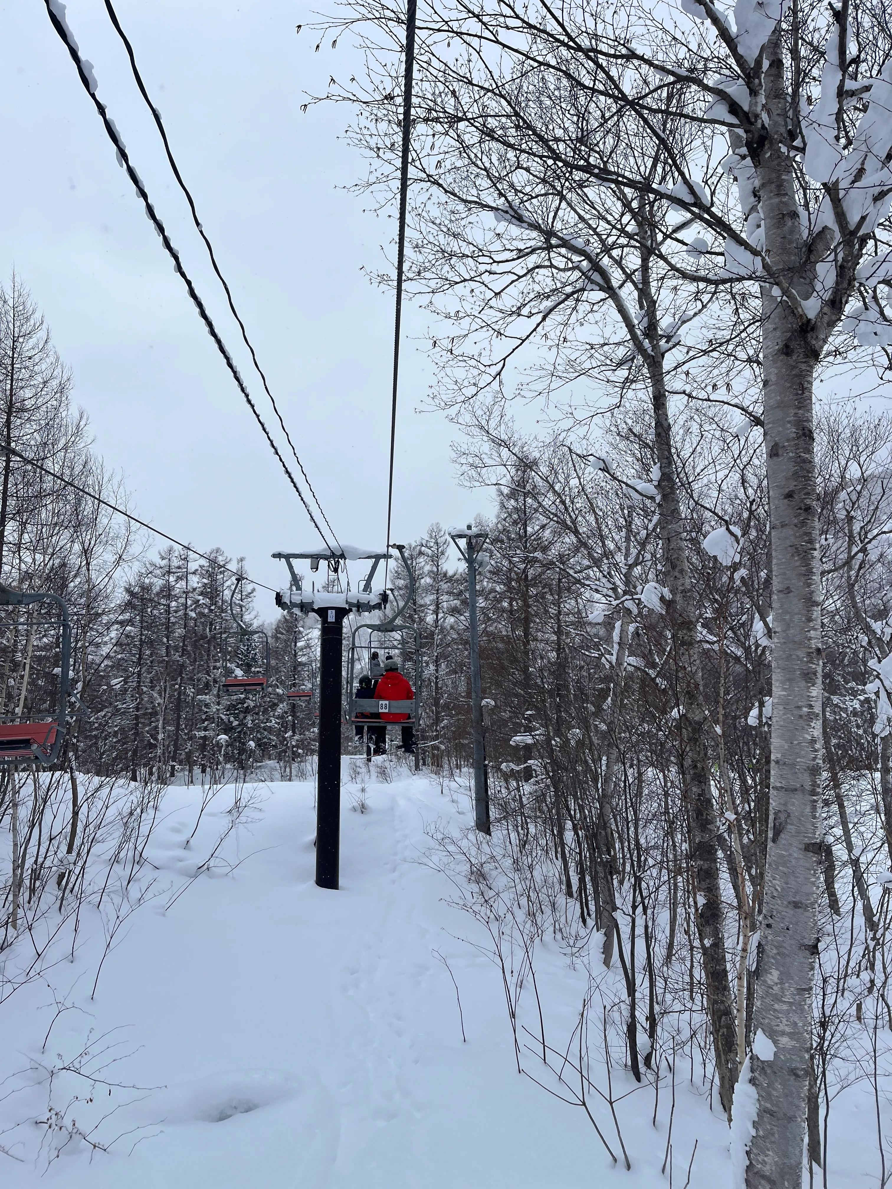 A red chairlift carrying a skier up through heavily snow-laden trees at Niseko