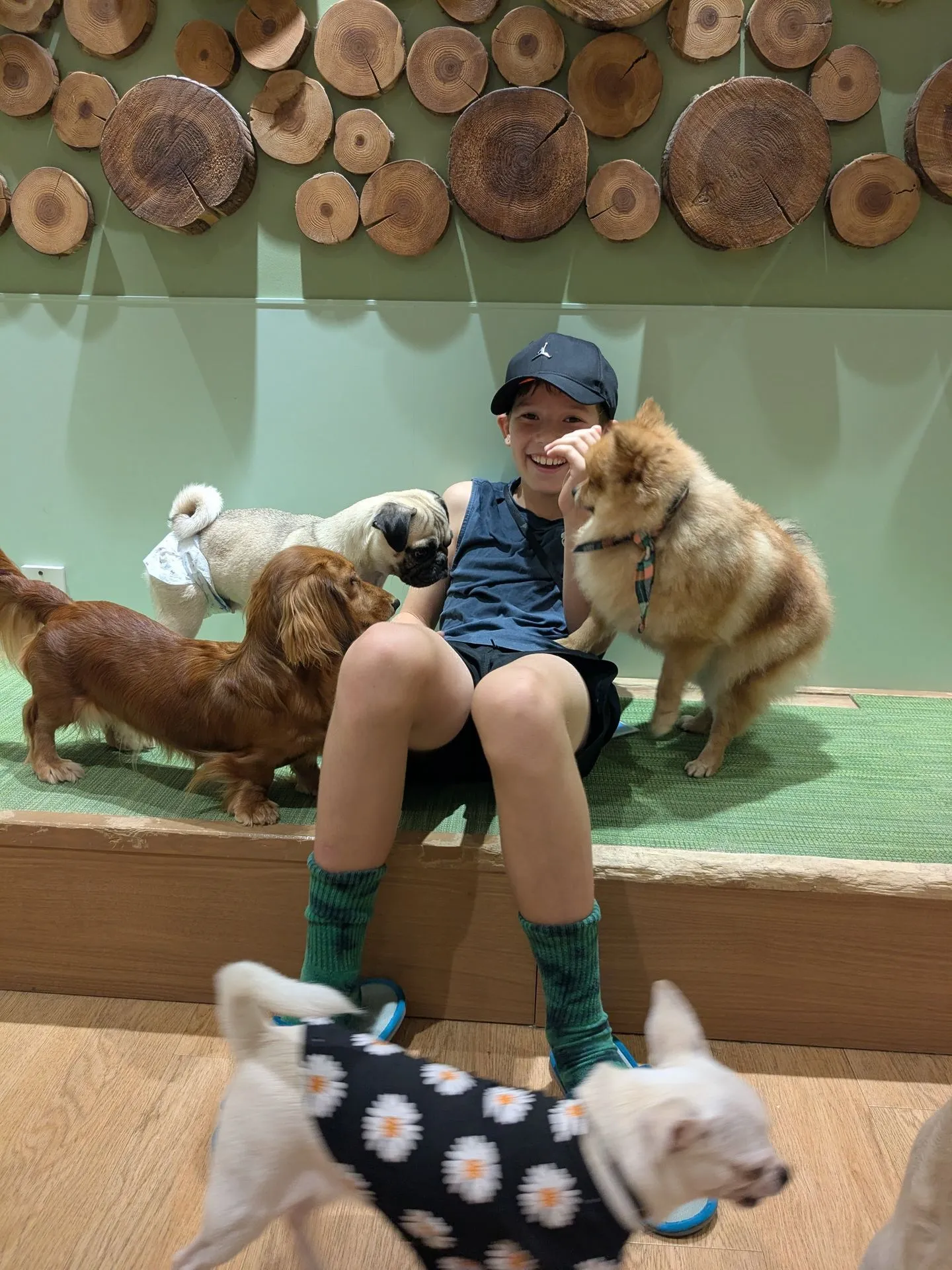Child playing with a small puppy at a Tokyo dog cafe