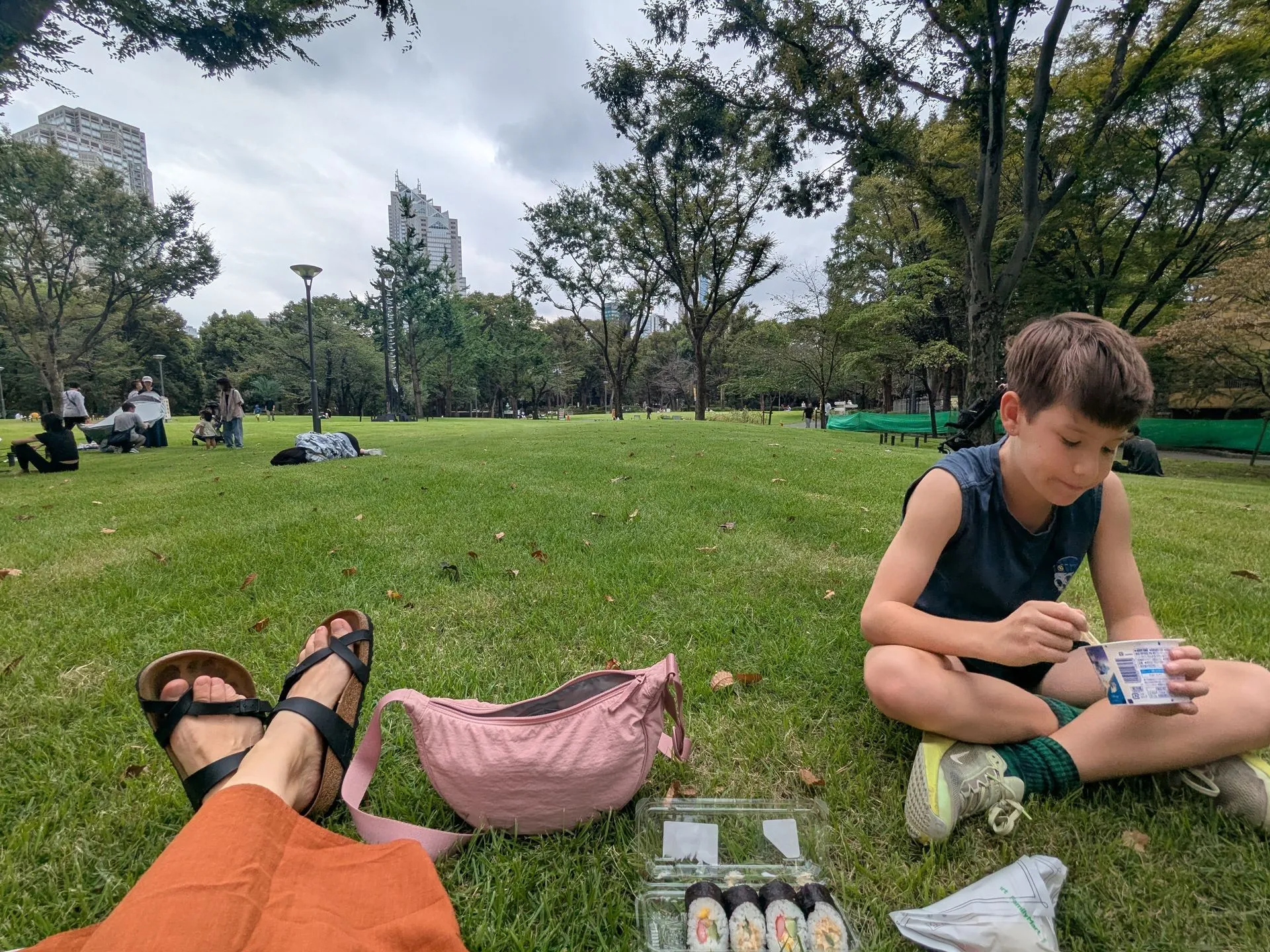 Picnic lunch with sushi in Shinjuku Gyoen national garden Tokyo