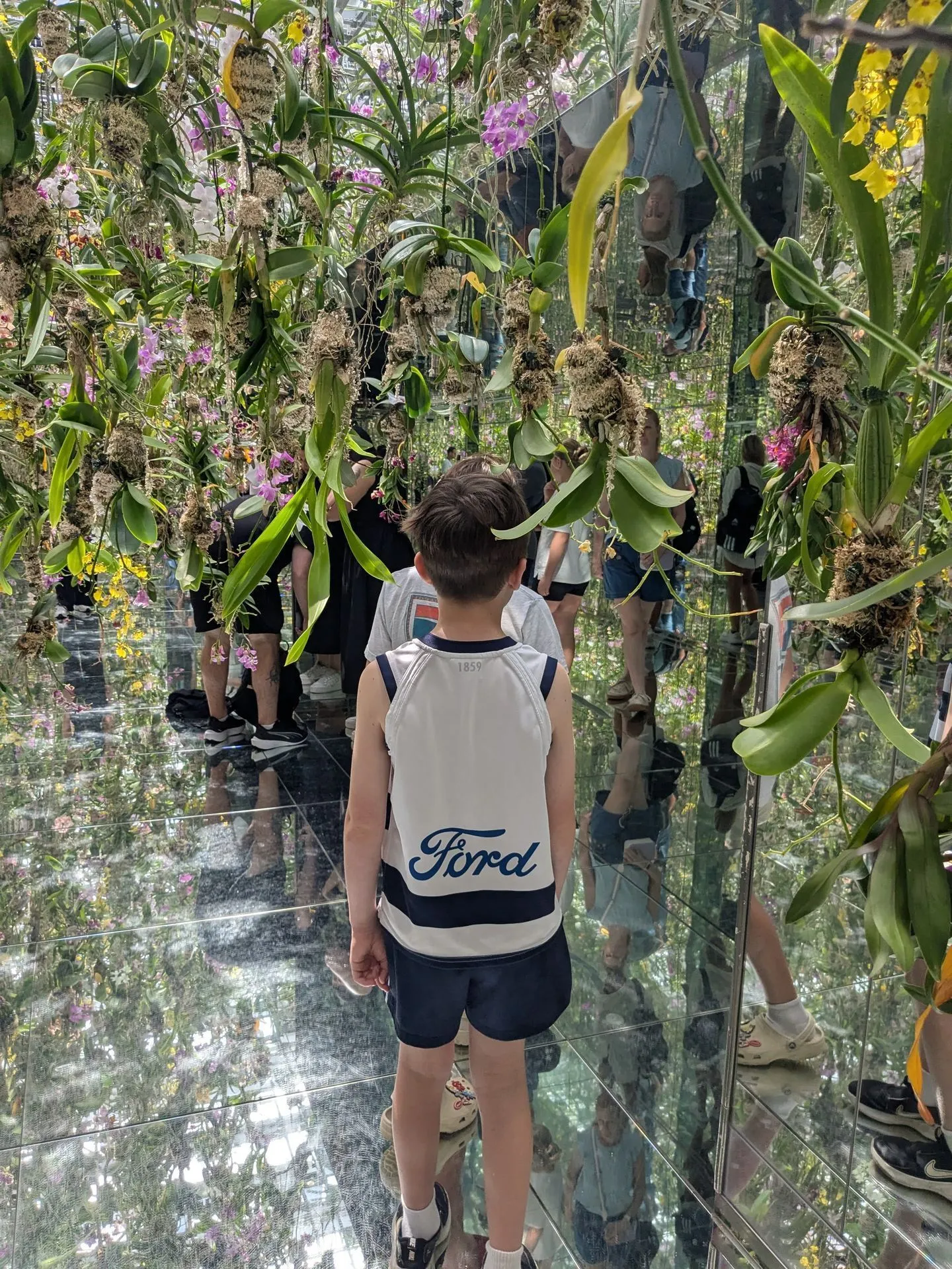 Floating orchid flowers reflected in infinite mirrors at TeamLab Planets Tokyo