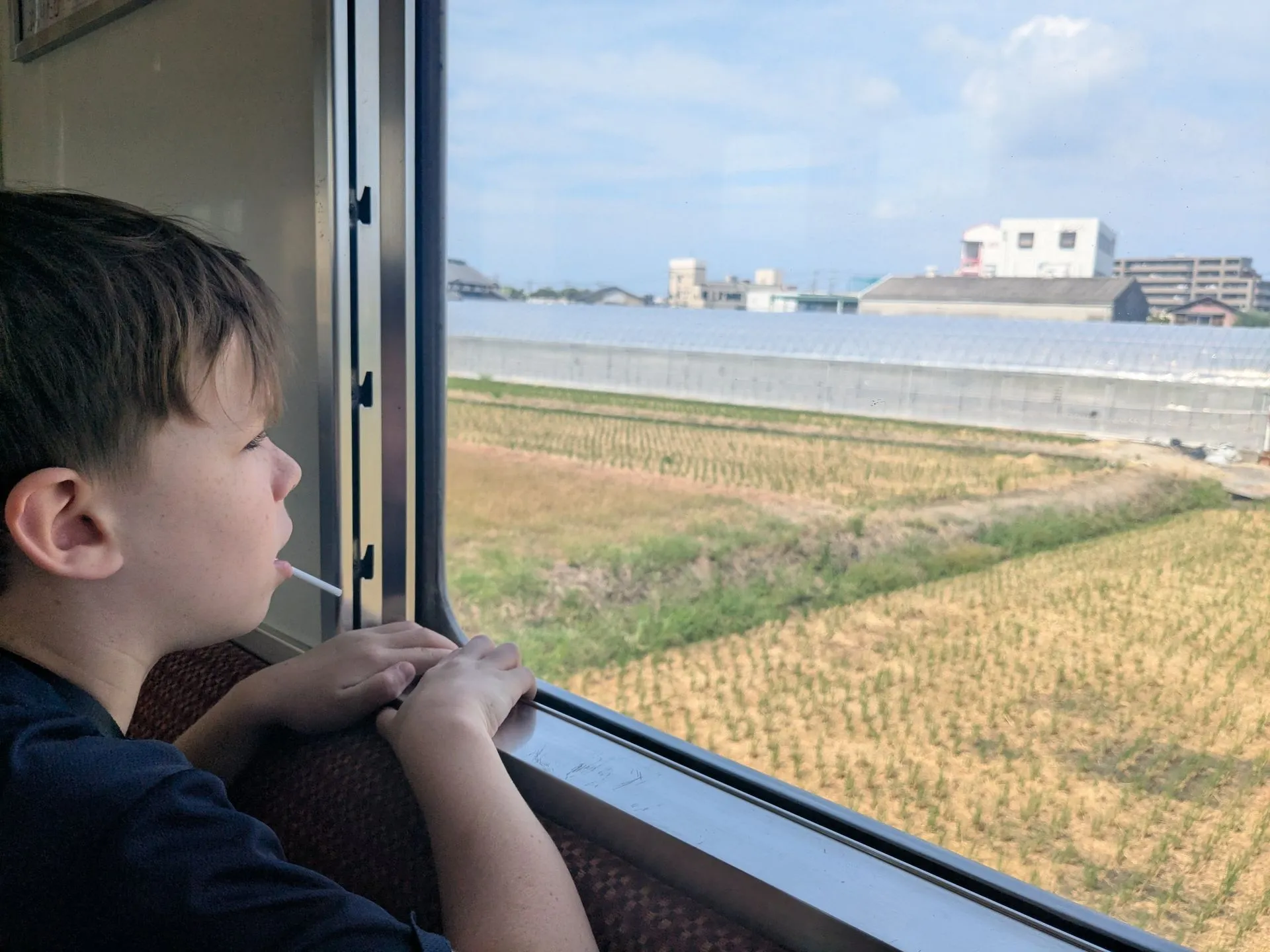 A child looking out the train window at rice fields on the Kii line, Wakayama